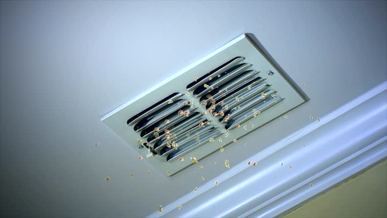 Best Local Air Duct Cleaning Services  in Breckenridge, MI
