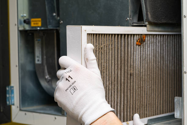 Air Duct Mold Removal in MI